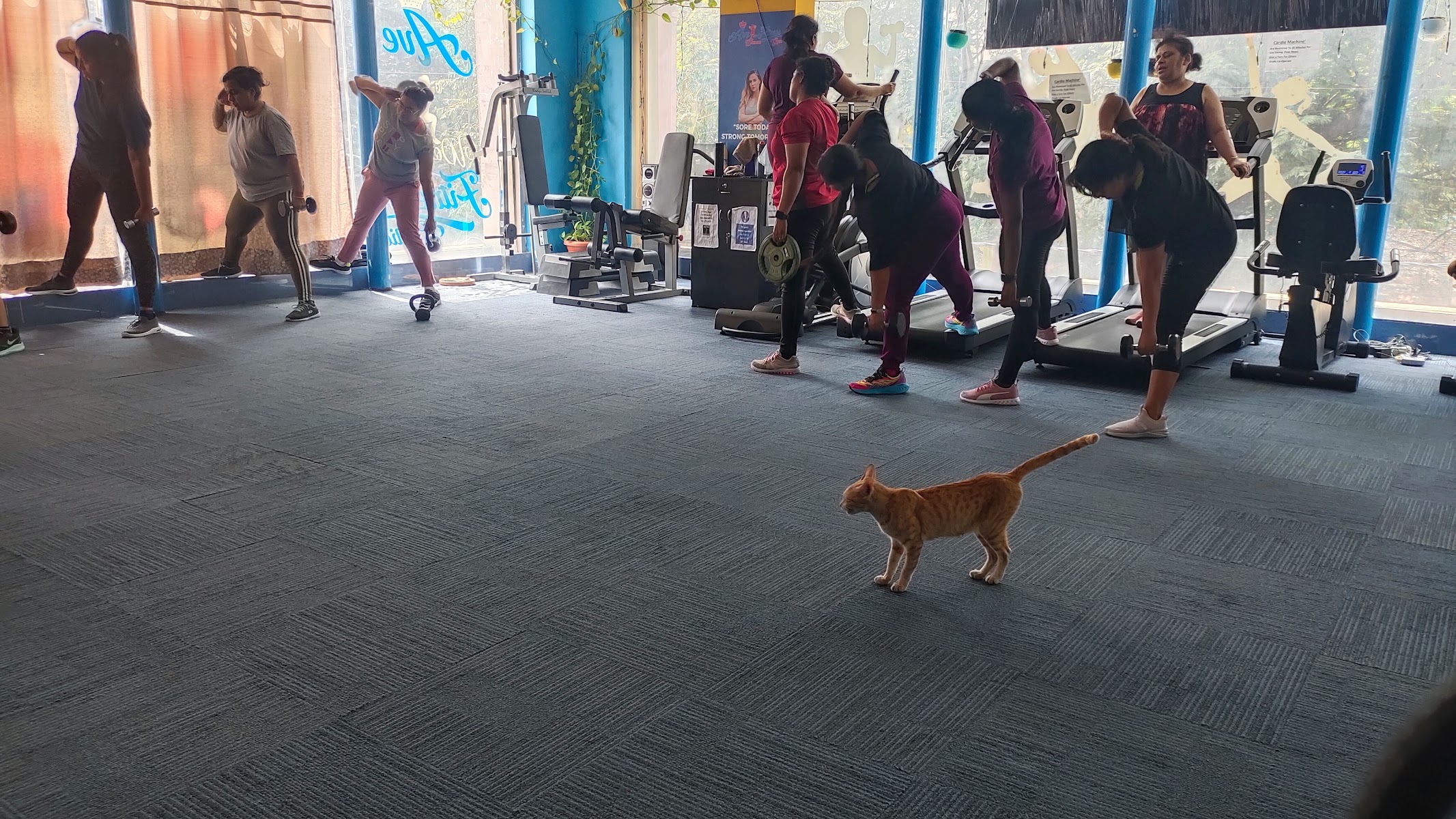 Ave Women's Fitness Gym gym facility photo 5, 4th Cross Rd, Airports Authority of India Colony, Someshvarapura Layout, Jogupalya, Bengaluru, Karnataka 560008, India